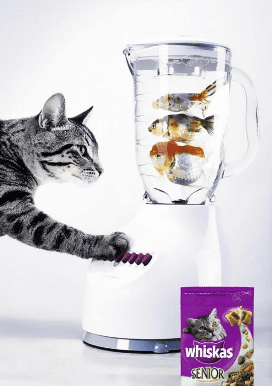 Пример асимметрии